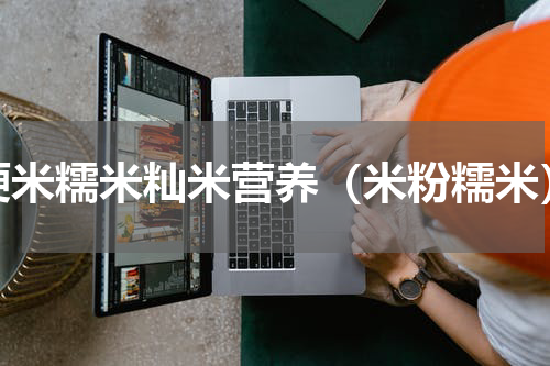 粳米糯米籼米营养（米粉糯米）