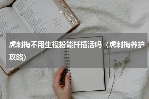 虎刺梅不用生根粉能扦插活吗（虎刺梅养护攻略）