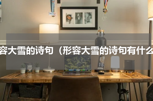 形容大雪的诗句（形容大雪的诗句有什么）
