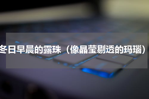 冬日早晨的露珠（像晶莹剔透的玛瑙）