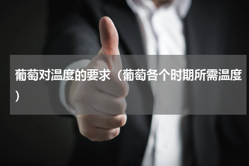 葡萄对温度的要求（葡萄各个时期所需温度）