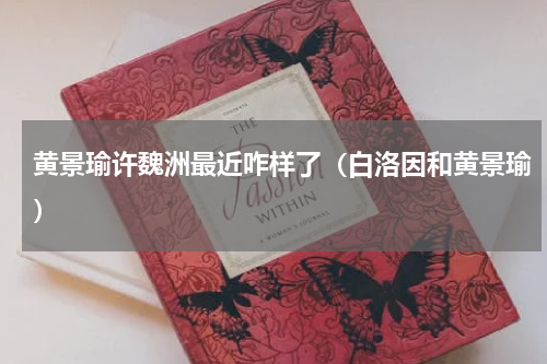 黄景瑜许魏洲最近咋样了（白洛因和黄景瑜）