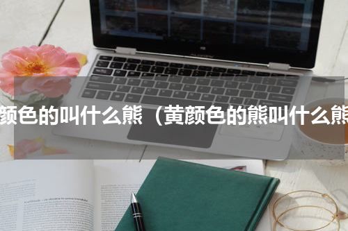 黄颜色的叫什么熊（黄颜色的熊叫什么熊）