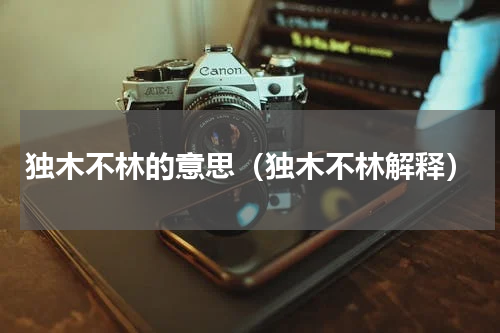 独木不林的意思（独木不林解释）