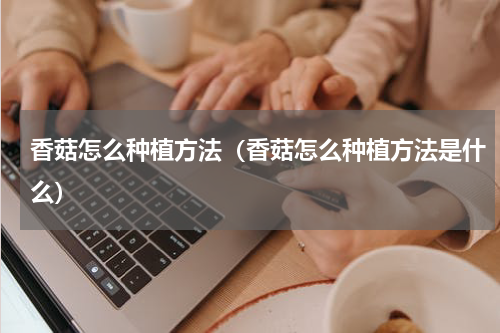 香菇怎么种植方法（香菇怎么种植方法是什么）
