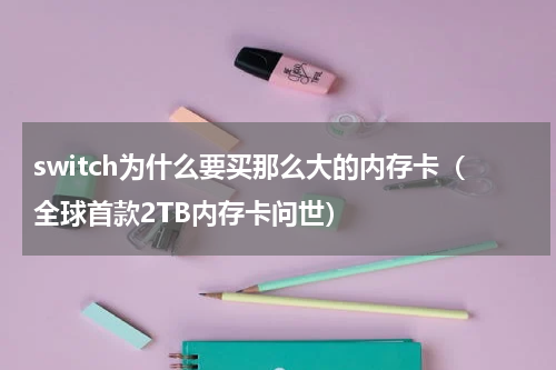 switch为什么要买那么大的内存卡（全球首款2TB内存卡问世）