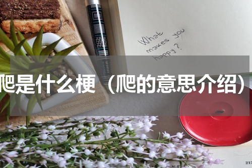 爬是什么梗（爬的意思介绍）
