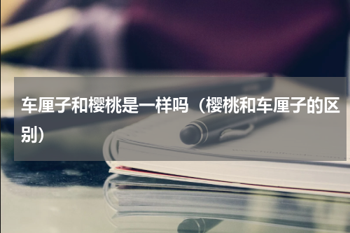 车厘子和樱桃是一样吗（樱桃和车厘子的区别）