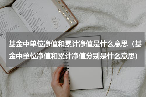 基金中单位净值和累计净值是什么意思（基金中单位净值和累计净值分别是什么意思）