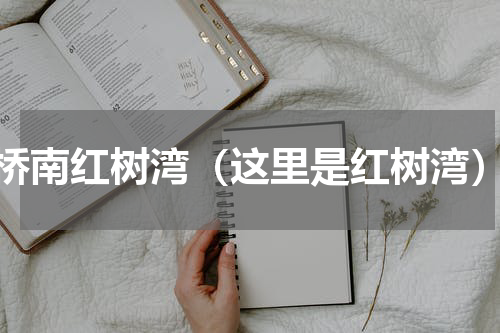 桥南红树湾（这里是红树湾）