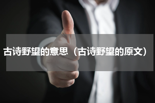 古诗野望的意思（古诗野望的原文）
