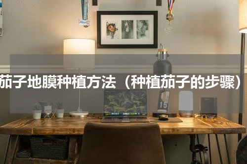 茄子地膜种植方法（种植茄子的步骤）