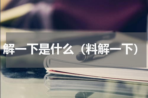解一下是什么（料解一下）