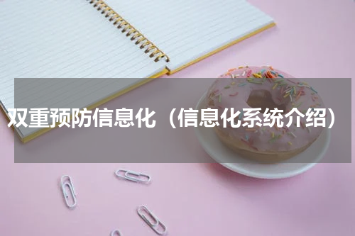 双重预防信息化（信息化系统介绍）
