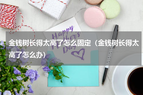 金钱树长得太高了怎么固定（金钱树长得太高了怎么办）