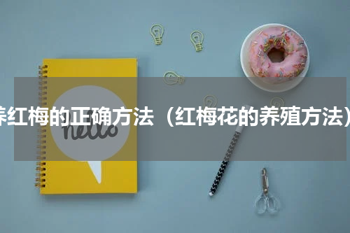 养红梅的正确方法（红梅花的养殖方法）