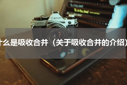 什么是吸收合并（关于吸收合并的介绍）