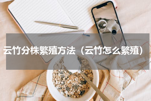 云竹分株繁殖方法（云竹怎么繁殖）
