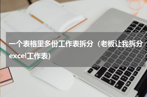 一个表格里多份工作表拆分（老板让我拆分excel工作表）