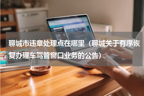 聊城市违章处理点在哪里（聊城关于有序恢复办理车驾管窗口业务的公告）