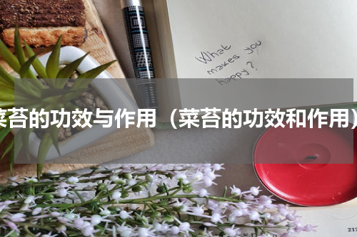 菜苔的功效与作用（菜苔的功效和作用）