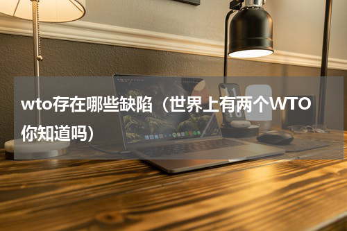 wto存在哪些缺陷（世界上有两个WTO你知道吗）