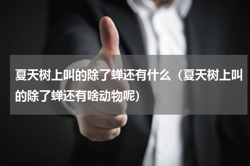 夏天树上叫的除了蝉还有什么（夏天树上叫的除了蝉还有啥动物呢）