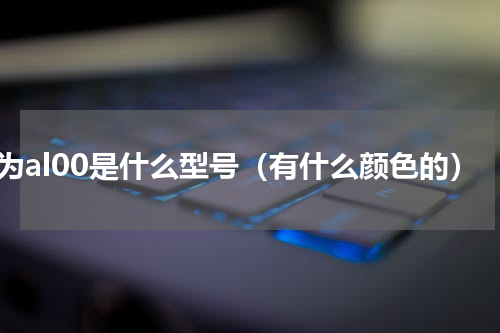 华为al00是什么型号（有什么颜色的）