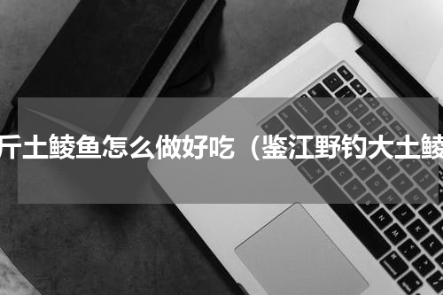一斤土鲮鱼怎么做好吃（鉴江野钓大土鲮）