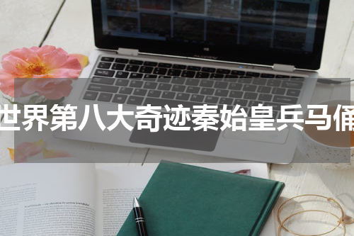 世界第八大奇迹秦始皇兵马俑