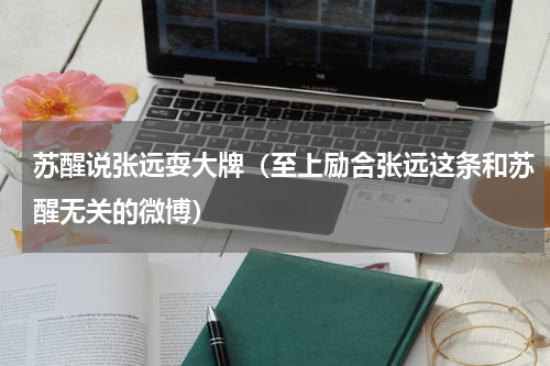 苏醒说张远耍大牌（至上励合张远这条和苏醒无关的微博）