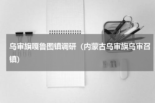 乌审旗嘎鲁图镇调研（内蒙古乌审旗乌审召镇）