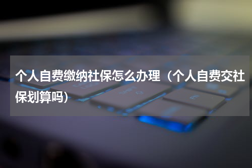 个人自费缴纳社保怎么办理（个人自费交社保划算吗）