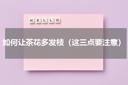 如何让茶花多发枝（这三点要注意）