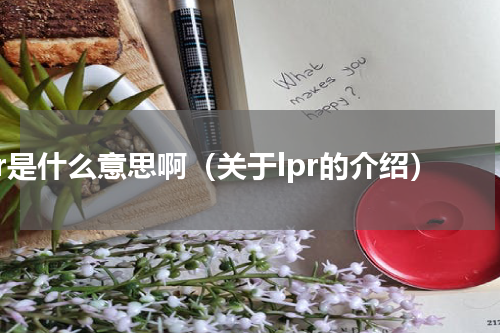 lpr是什么意思啊（关于lpr的介绍）