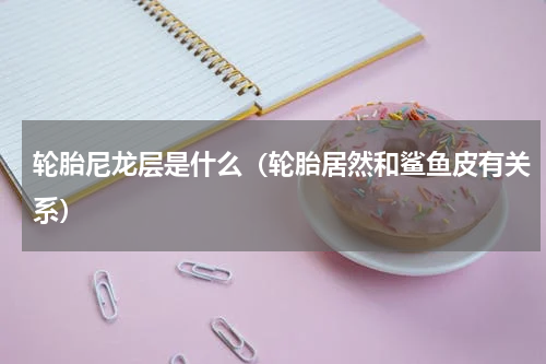 轮胎尼龙层是什么（轮胎居然和鲨鱼皮有关系）