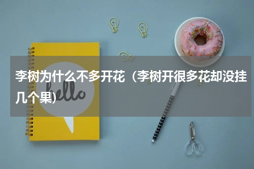 李树为什么不多开花（李树开很多花却没挂几个果）