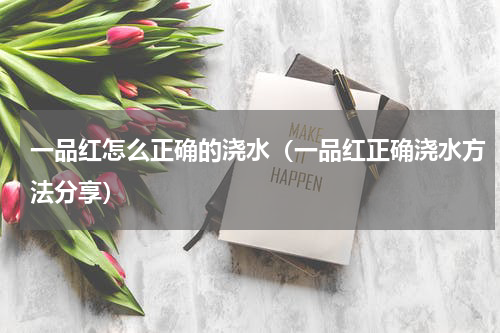 一品红怎么正确的浇水（一品红正确浇水方法分享）