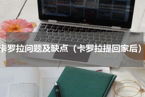 卡罗拉问题及缺点（卡罗拉提回家后）