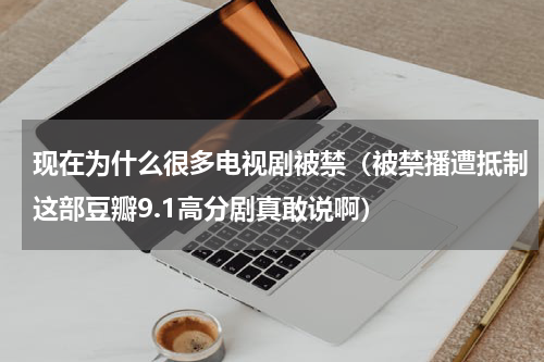 现在为什么很多电视剧被禁（被禁播遭抵制这部豆瓣9.1高分剧真敢说啊）