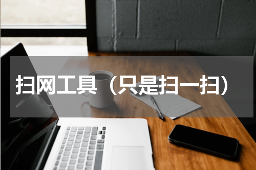 扫网工具（只是扫一扫）