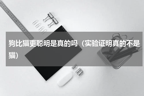 狗比猫更聪明是真的吗（实验证明真的不是猫）