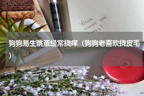 狗狗易生跳蚤经常挠痒（狗狗老喜欢挠皮毛）