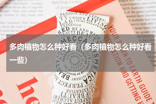 多肉植物怎么种好看（多肉植物怎么种好看一些）