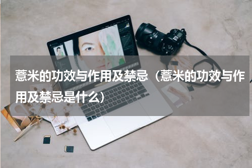 薏米的功效与作用及禁忌（薏米的功效与作用及禁忌是什么）