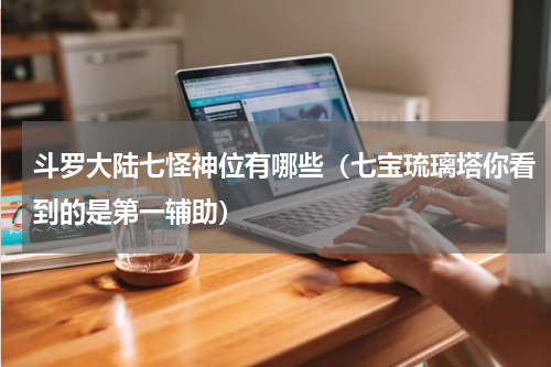 斗罗大陆七怪神位有哪些（七宝琉璃塔你看到的是第一辅助）