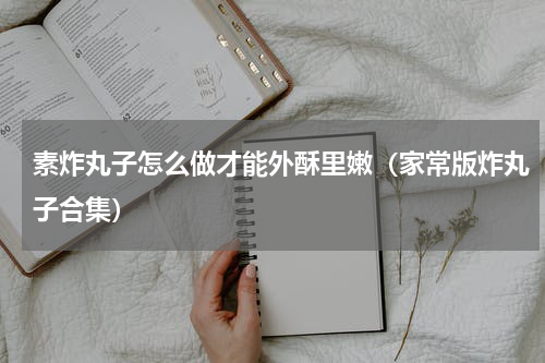 素炸丸子怎么做才能外酥里嫩（家常版炸丸子合集）