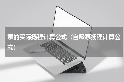 泵的实际扬程计算公式（自吸泵扬程计算公式）