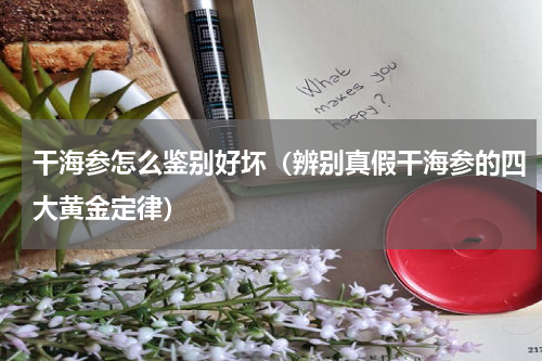 干海参怎么鉴别好坏（辨别真假干海参的四大黄金定律）