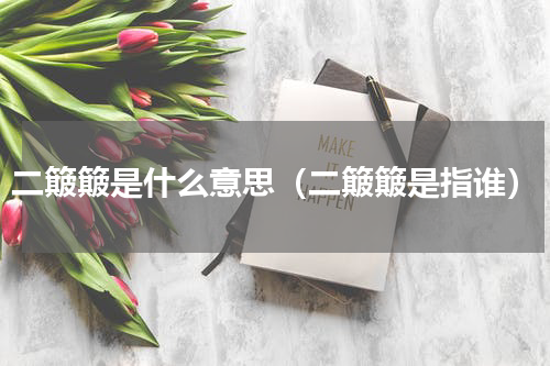 二簸簸是什么意思（二簸簸是指谁）